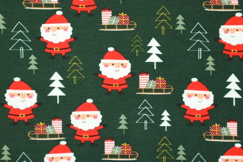 Baumwolljersey Santa Forest