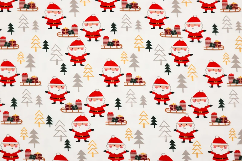 Baumwolljersey Santa Forest