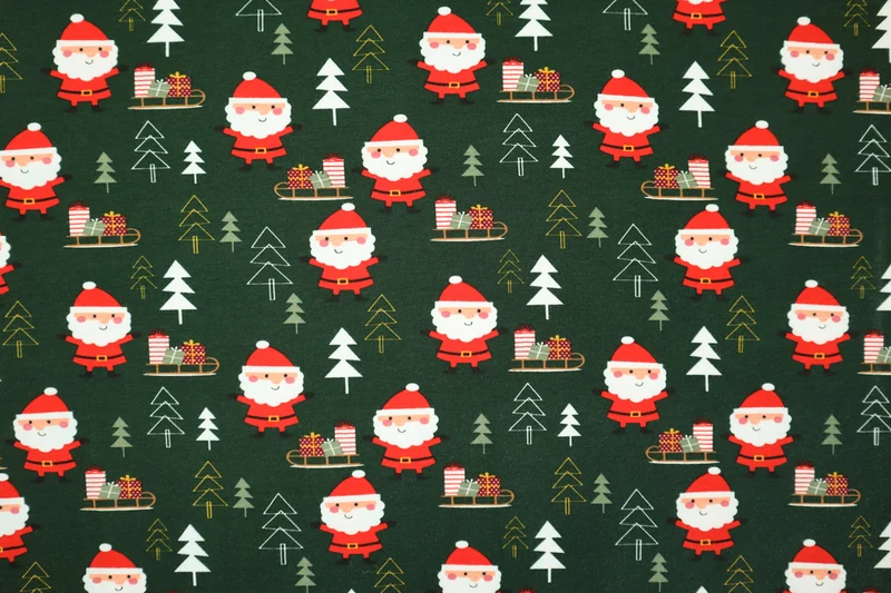 Baumwolljersey Santa Forest