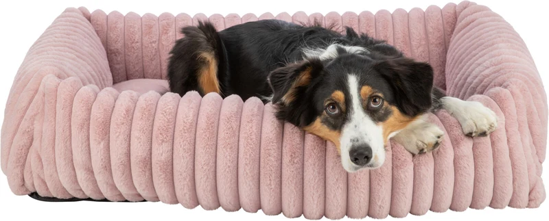 Eckiges Hundebett Lonni aus Plüsch mit Rand in Breitcord-Optik