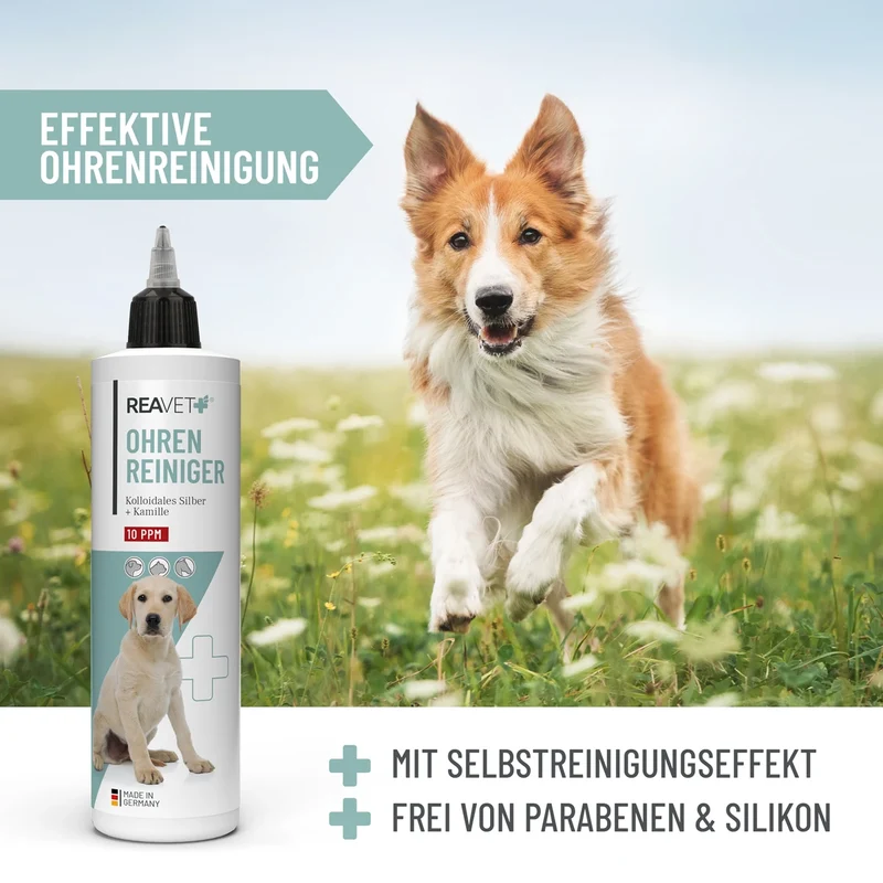 Ohrenreiniger mit kolloidalem Silber und Kamille