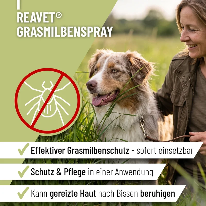 Grasmilben Spray
