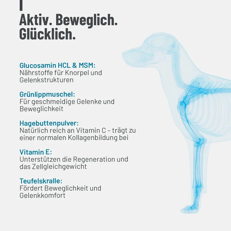 Gelenktabletten Forte