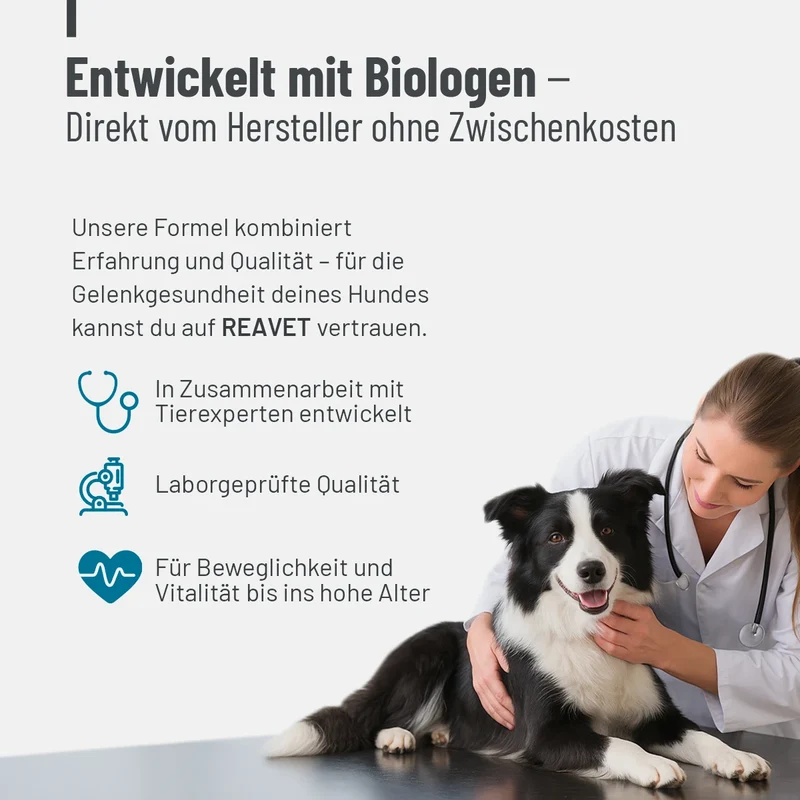 Gelenktabletten Forte