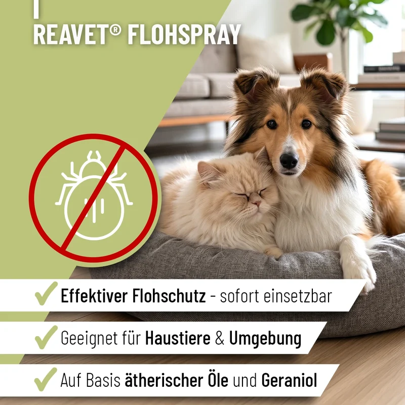 Floh Spray