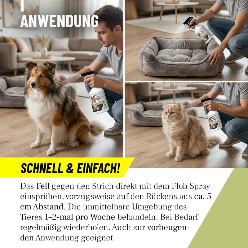 Floh Spray