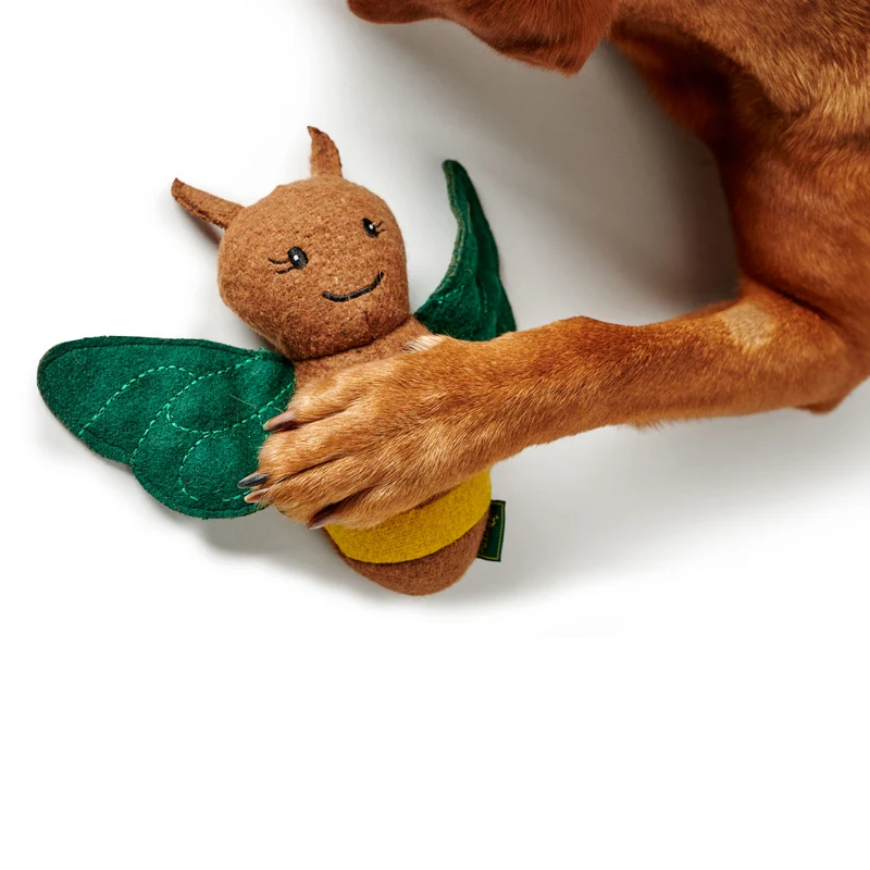 Hundespielzeug Florenz