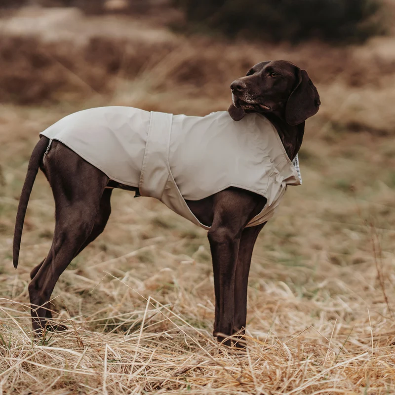 Hunde-Regenmantel Milford