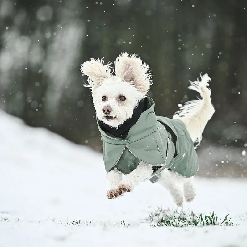 Wintermantel vollreflektierend Khaki