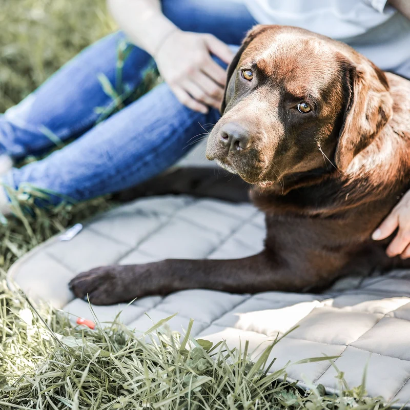 Hundedecke für unterwegs TRAVEL BAG