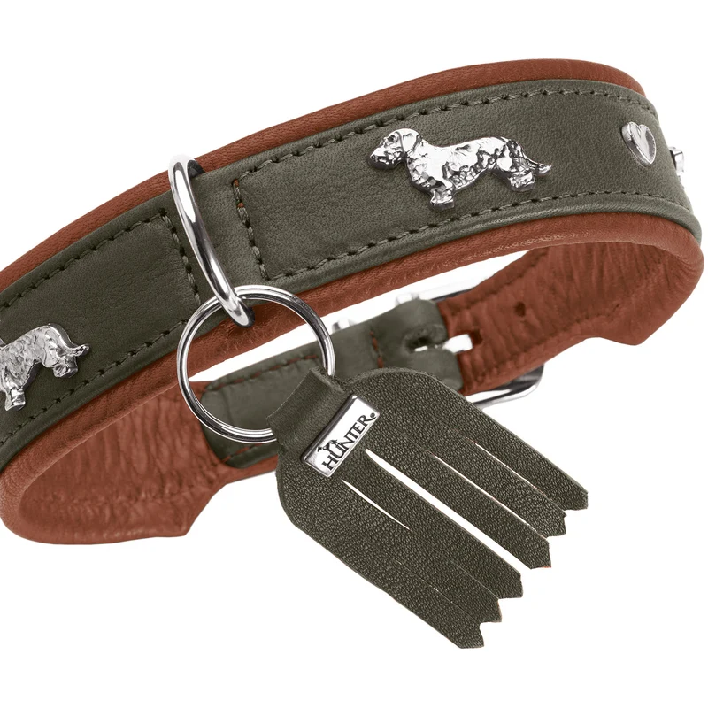 Teckel-Halsband München