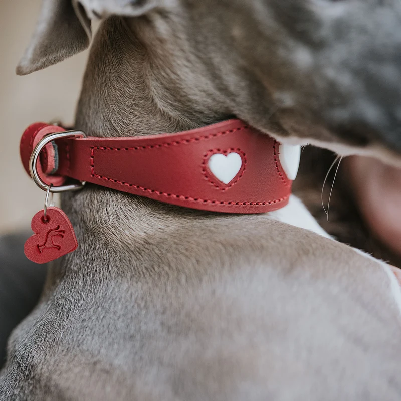 Windhundhalsband Love