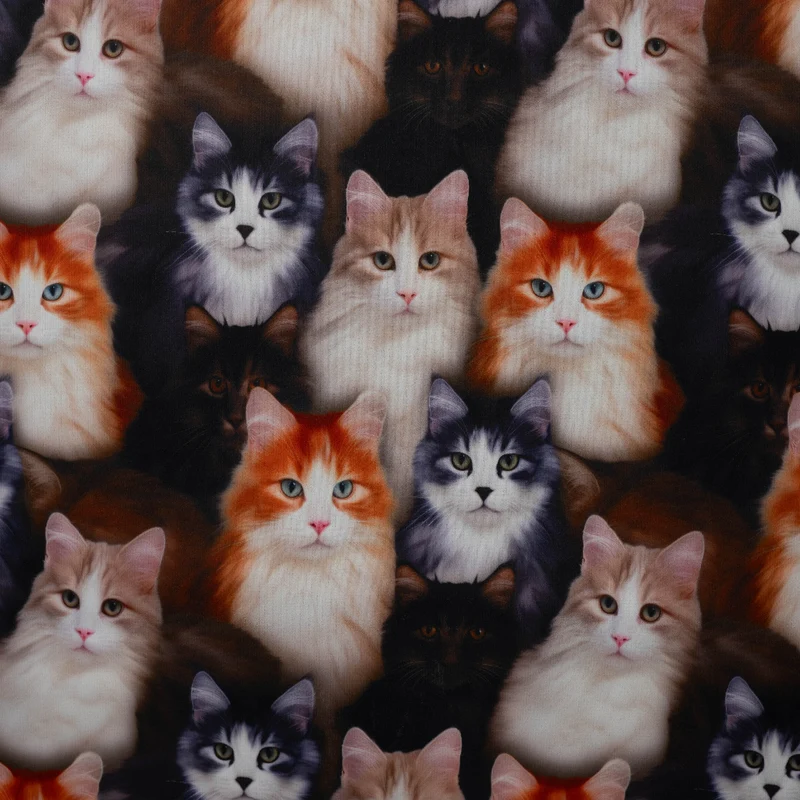 Alpenfleece Digital Katzen