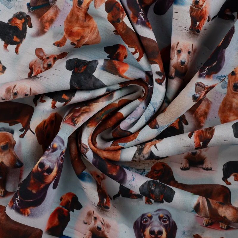 Alpenfleece Digital Dackel