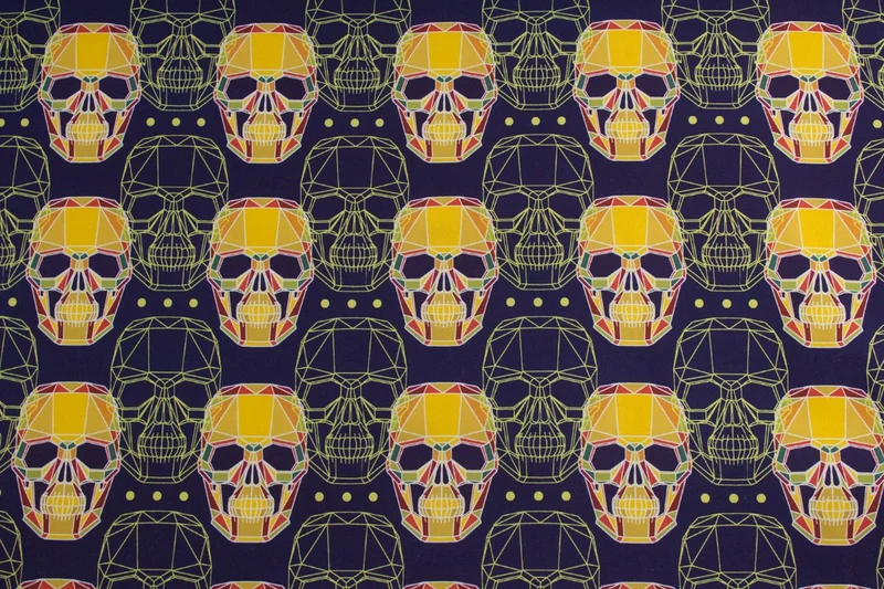 Softshell Graphic Skulls by KATINOH