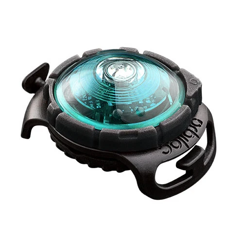 SICHERHEITSLICHT DOG DUAL TÜRKIS