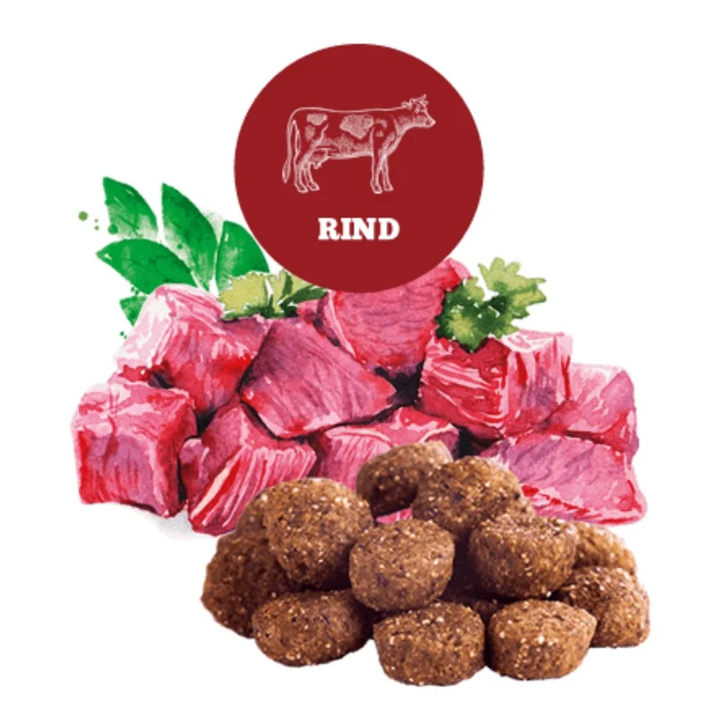 Rind Adult