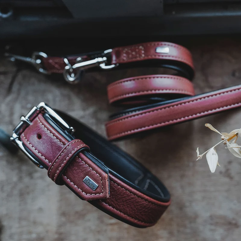 Halsband Canadian Up