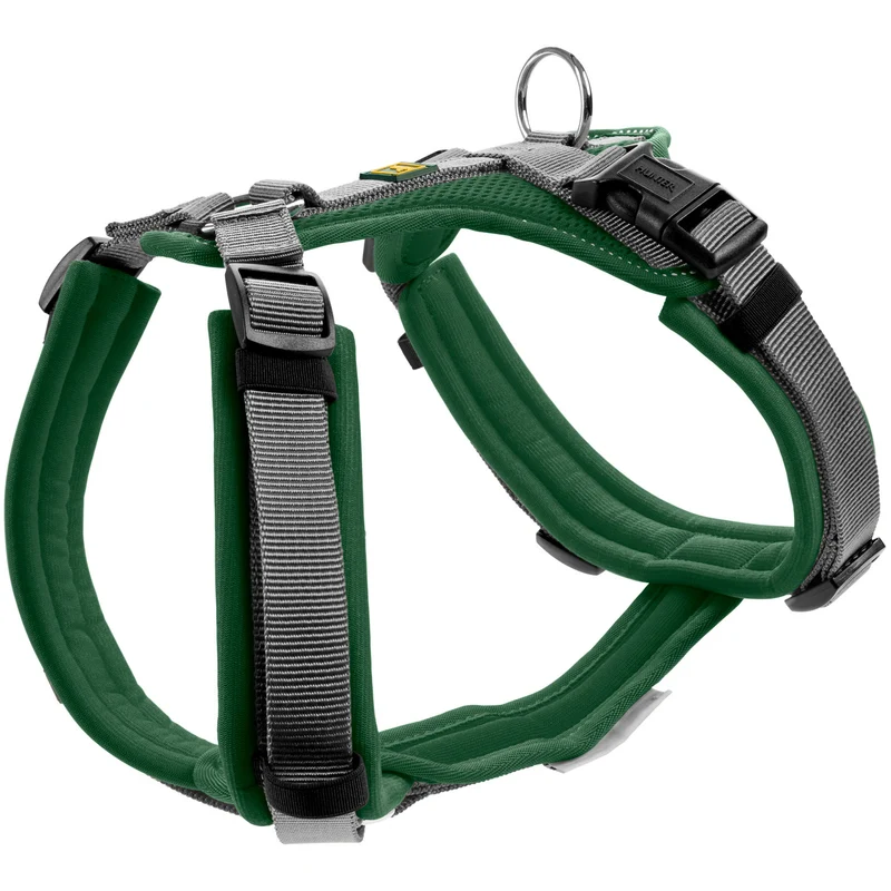Geschirr Maldon Up