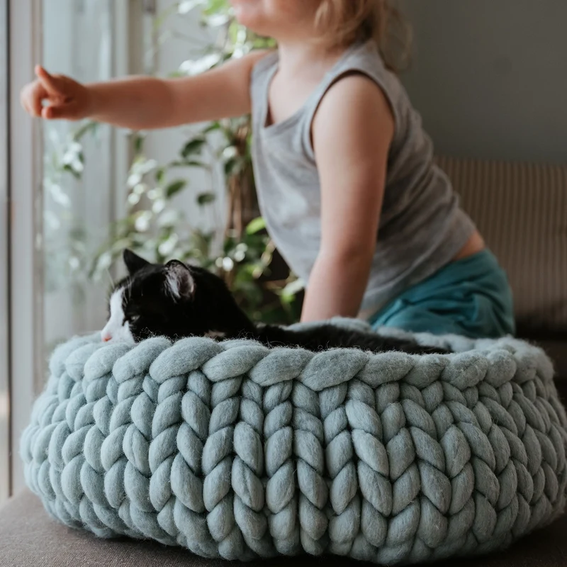 Katzenbett Boogie