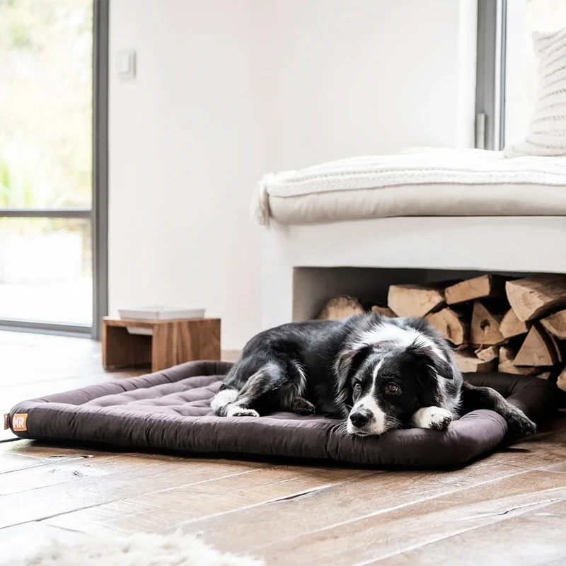 Hundekissen orthopädisch