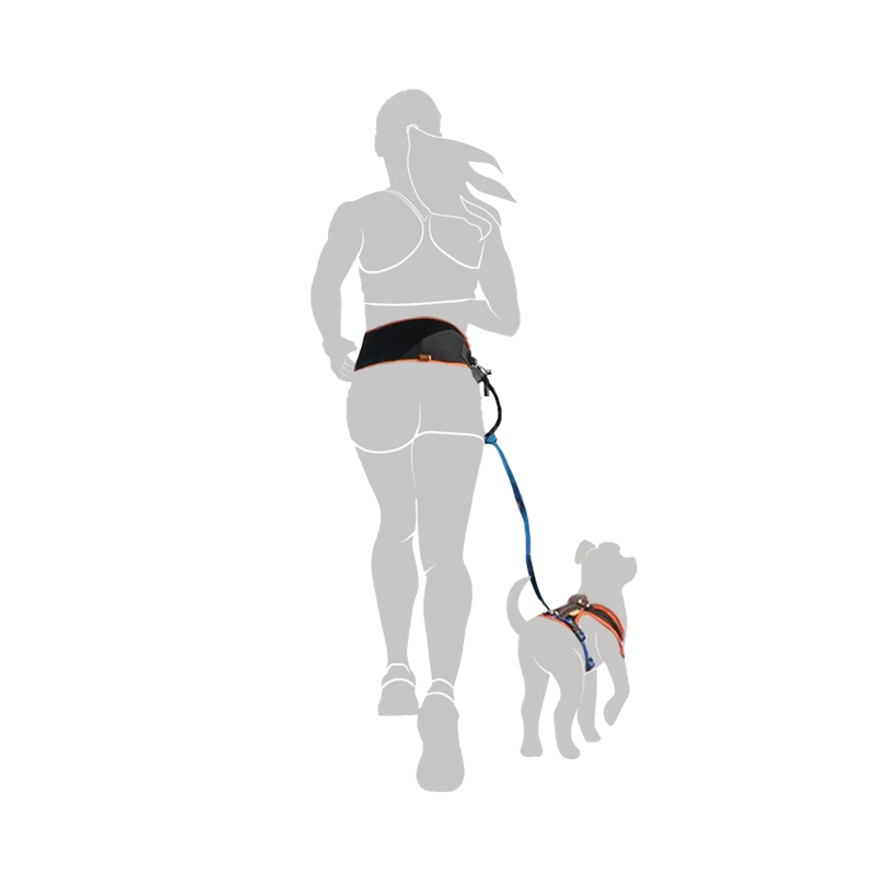 Jogginggurt verstellbar