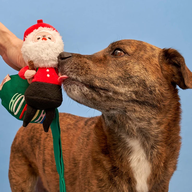 Santa Paws Nasenspielzeug