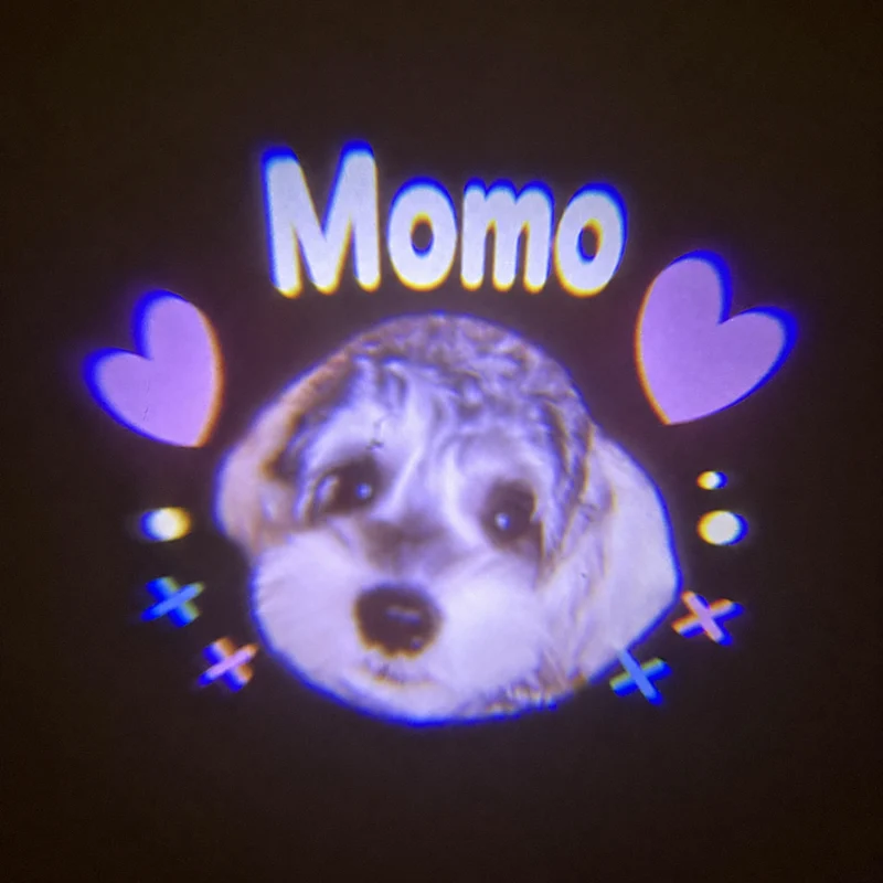 Individuell gestaltete Halsband-Projektorlampe für Haustiere, personalisiertes Nachtlicht für Hunde, LED-Licht gegen das Verlaufen und Geschenk für Tierfreunde (ohne Halsband)