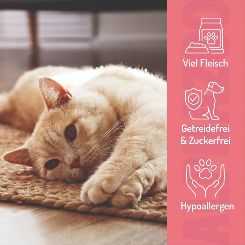 Probierset Leckerli Katze