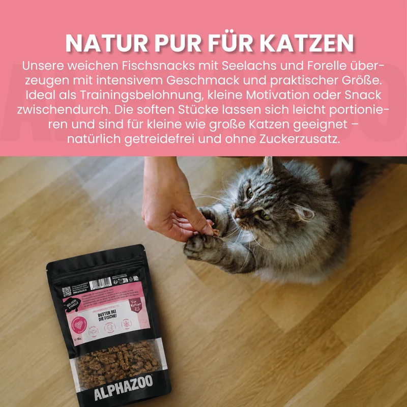 Butter Bei Die Fische!