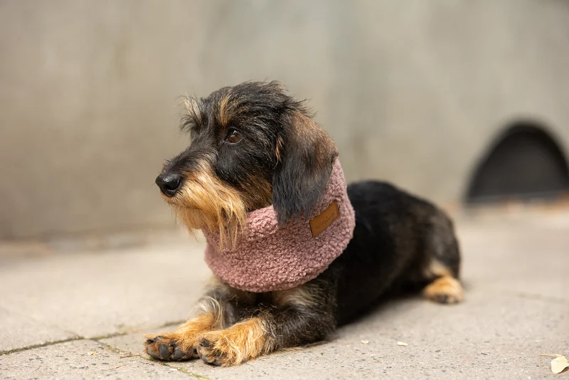 Hundeloop Teddyfleece Mauve