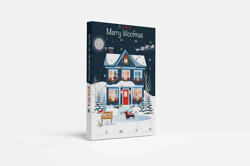 Adventskalender 2026 Santa’s Moonlight Skates