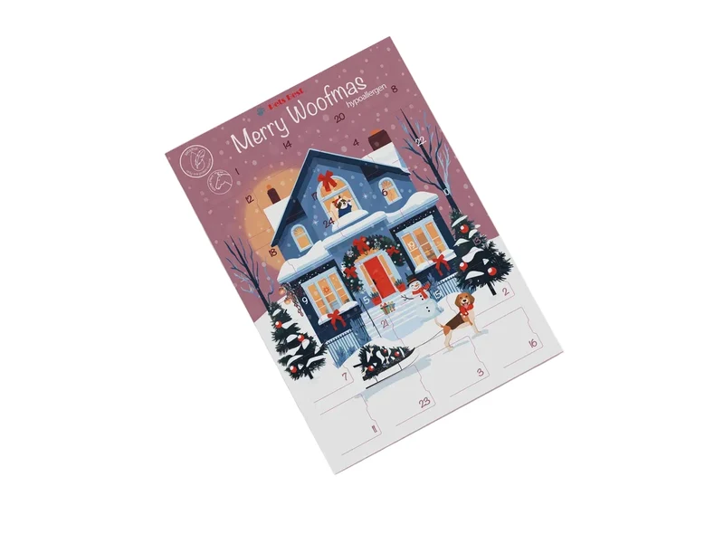 Adventskalender 2026 Hypo Snowman's Christmas Morning