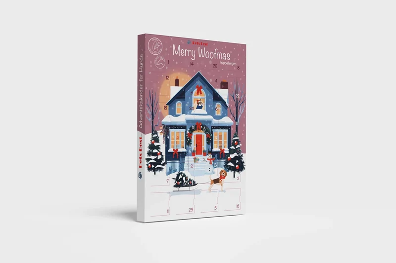 Adventskalender 2026 Hypo Snowman's Christmas Morning
