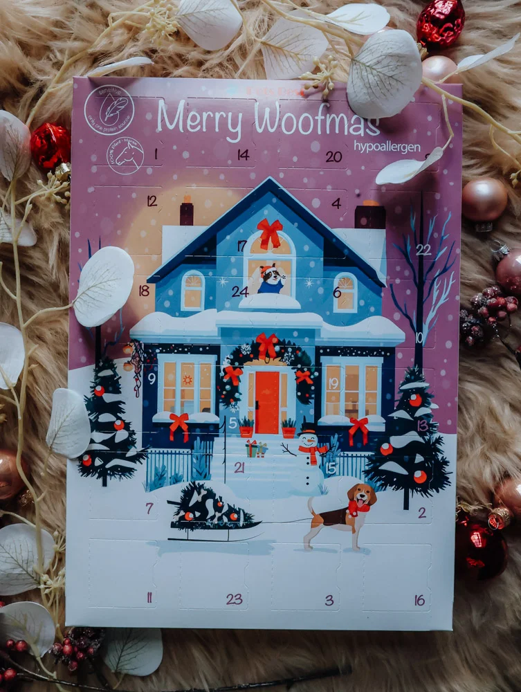 Adventskalender 2026 Hypo Snowman's Christmas Morning