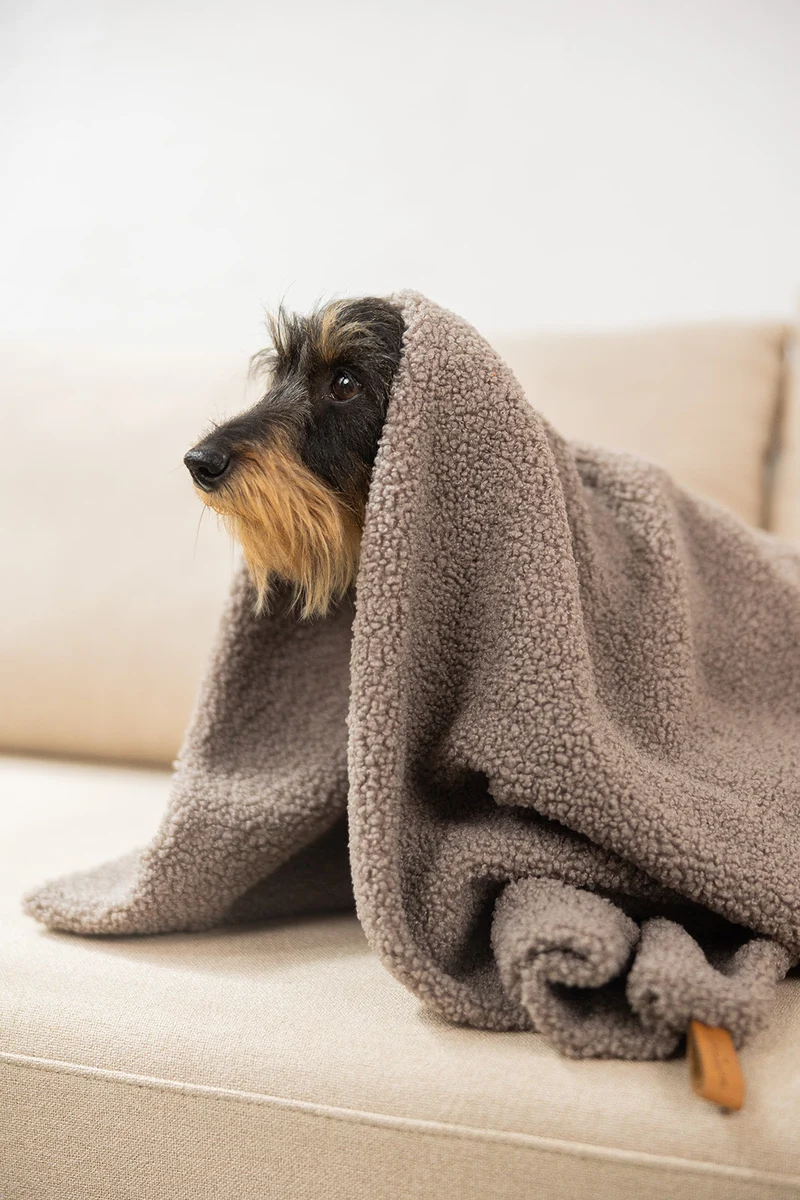 Oversize Hundedecke aus Teddy Taupe