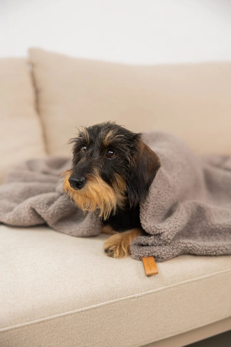Oversize Hundedecke aus Teddy Taupe