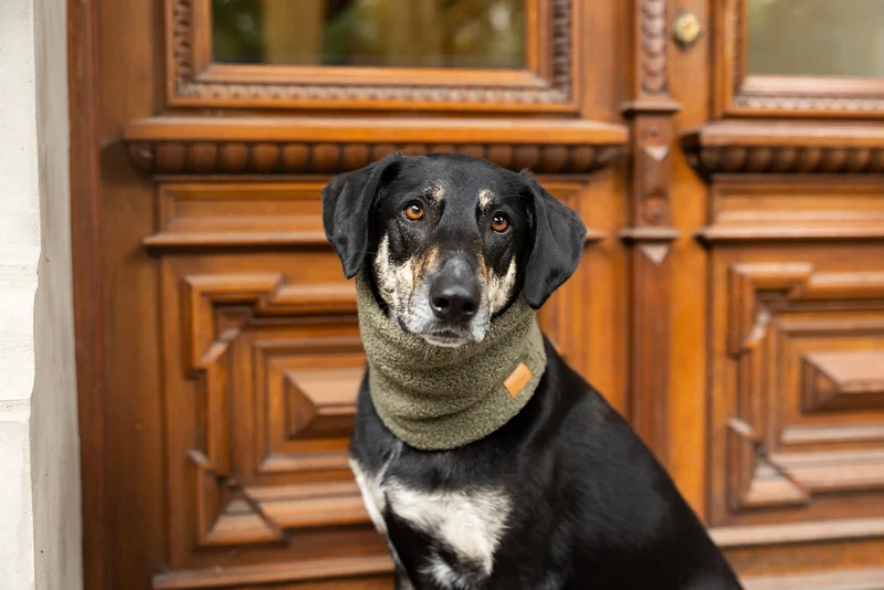 Hundeloop Teddyfleece Pickle Green