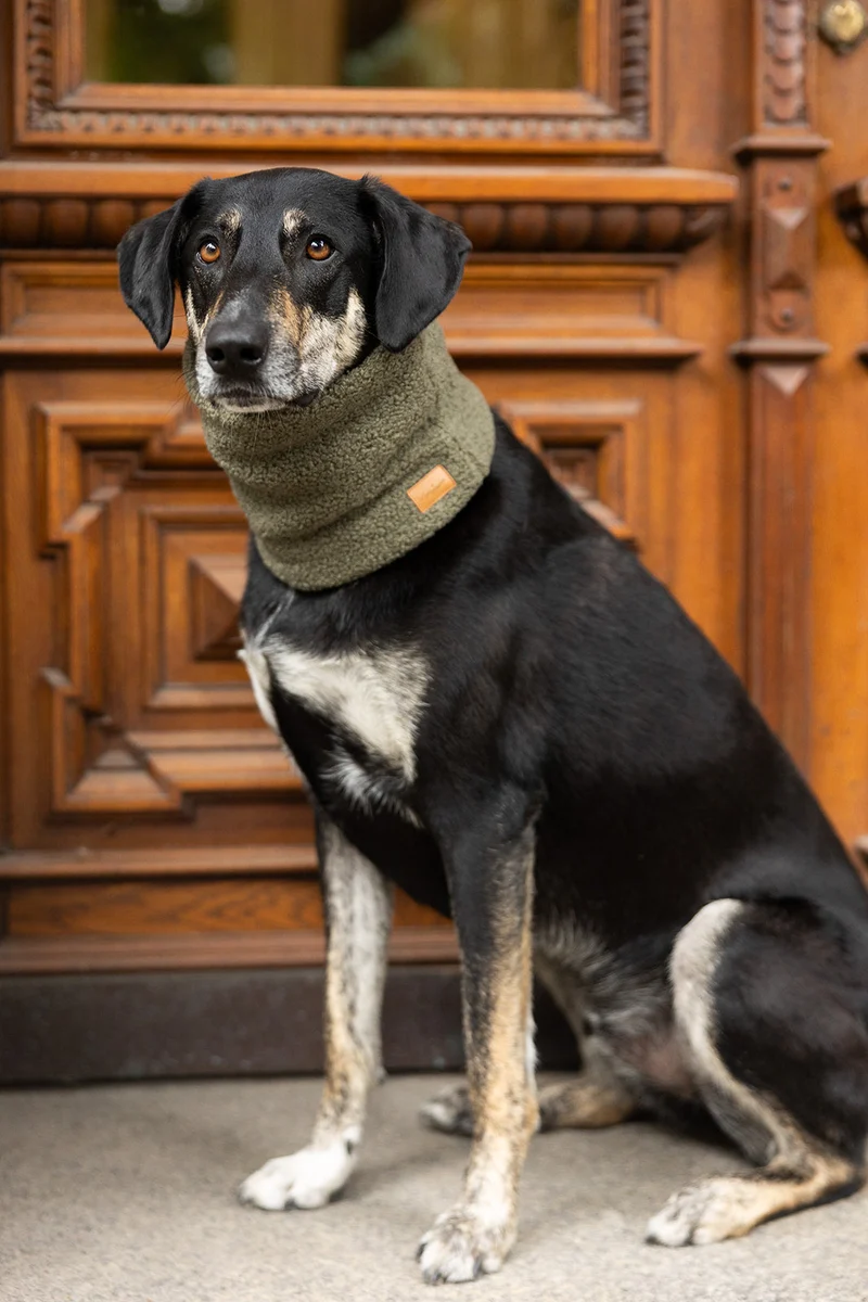Hundeloop Teddyfleece Pickle Green