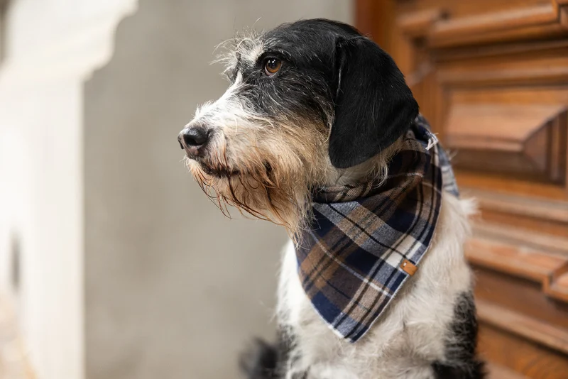 Halstuch HIGHLAND Flanell