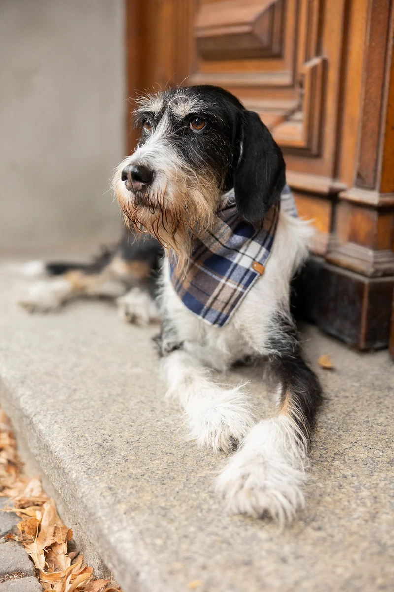 Halstuch HIGHLAND Flanell