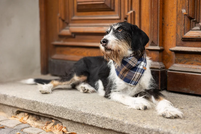 Halstuch HIGHLAND Flanell