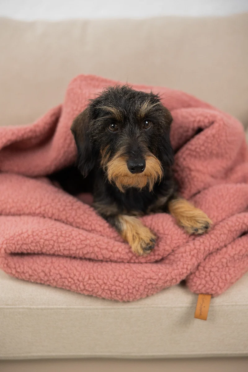 Kuschelschlafsack aus Teddyfleece Dusty Rose Limitiert