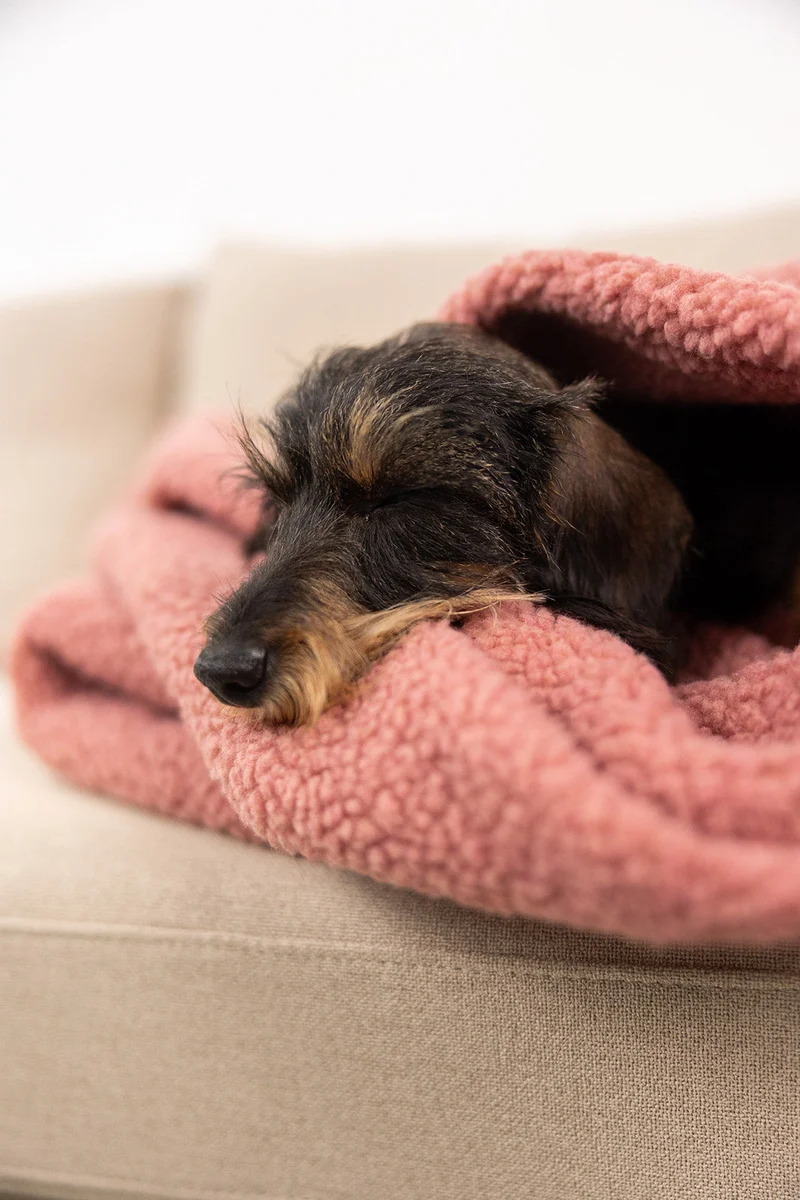 Kuschelschlafsack aus Teddyfleece Dusty Rose Limitiert