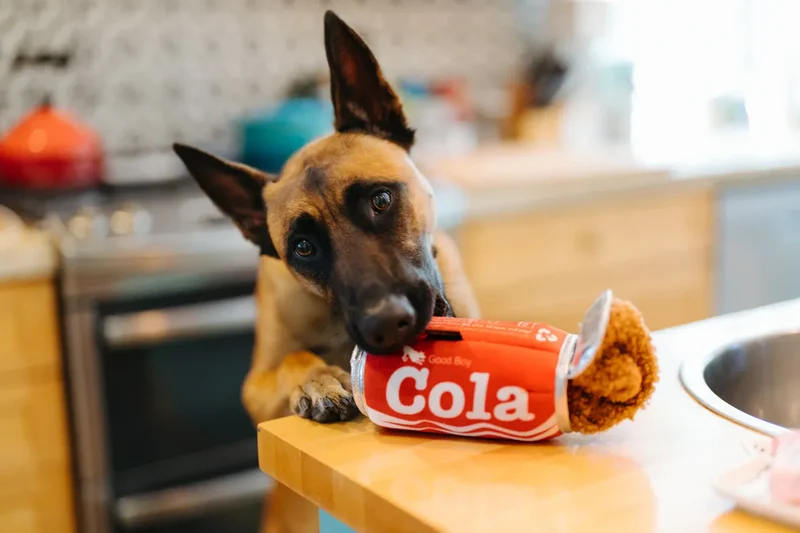 Plüschspielzeug Cola Dose