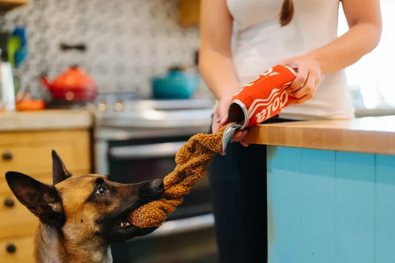 Plüschspielzeug Cola Dose
