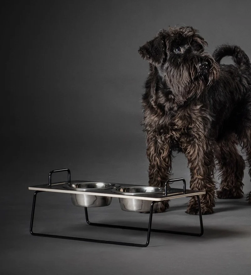 Wuff`s Feeder Small - Schwarz