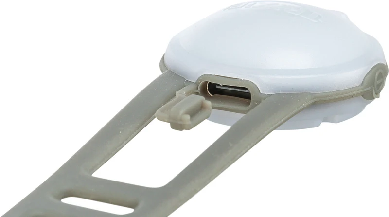 USB Flasher für Hunde