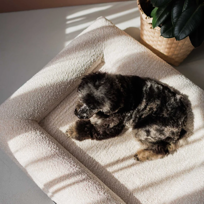 Hundebett Barklay Größe XS mit Bouclébezug