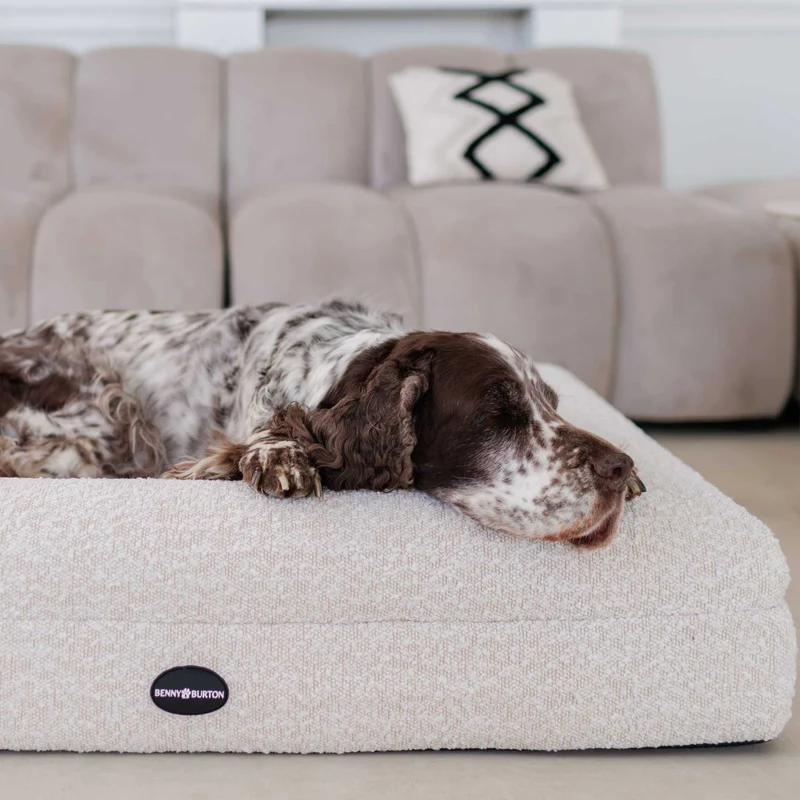 Hundebett Barklay Größe L mit Bouclébezug